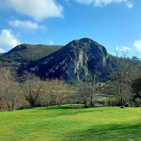 Quinta Solera Oviede