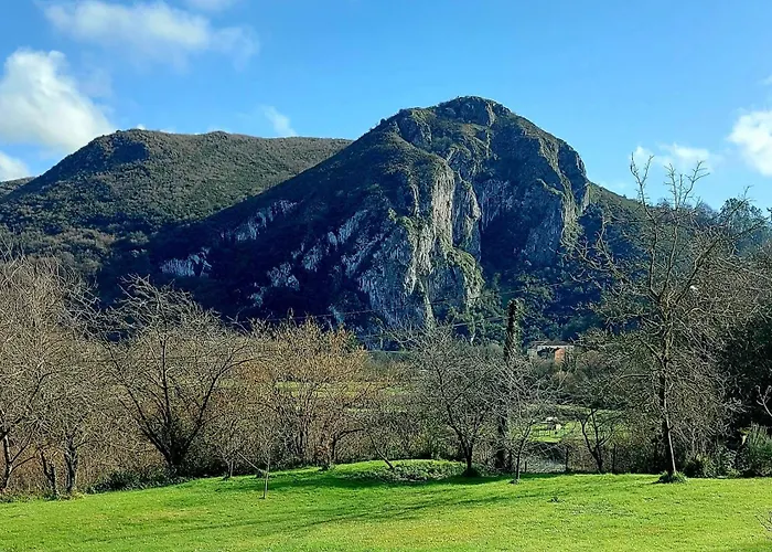 Quinta Solera Oviedo