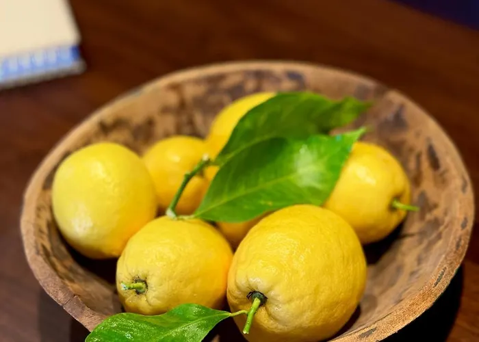 Quinta Solera Oviedo